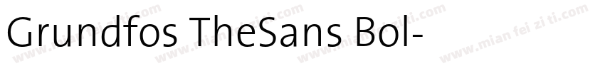 Grundfos TheSans Bol字体转换